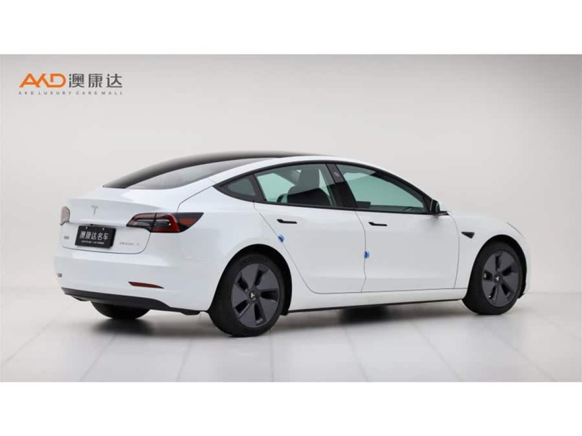特斯拉 Model 3  2022款 后輪驅(qū)動(dòng)版圖片