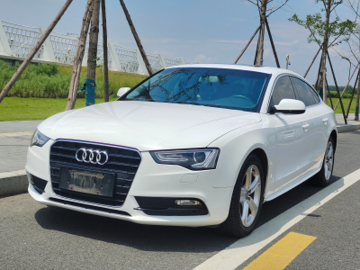 2013年3月 奧迪 奧迪A5(進口) Sportback 40 TFSI風尚版圖片