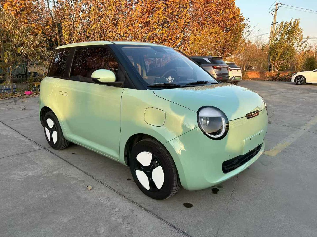 長(zhǎng)安跨越 新豹T3 EV  2024款 單排豪華版 倉柵車圖片