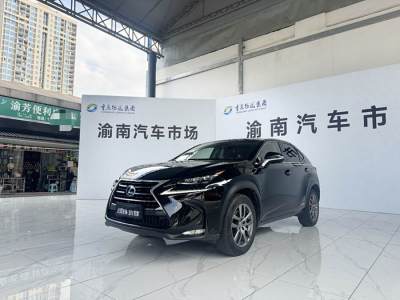 2015年4月 雷克薩斯 NX 300h 全驅(qū) 鋒致版圖片