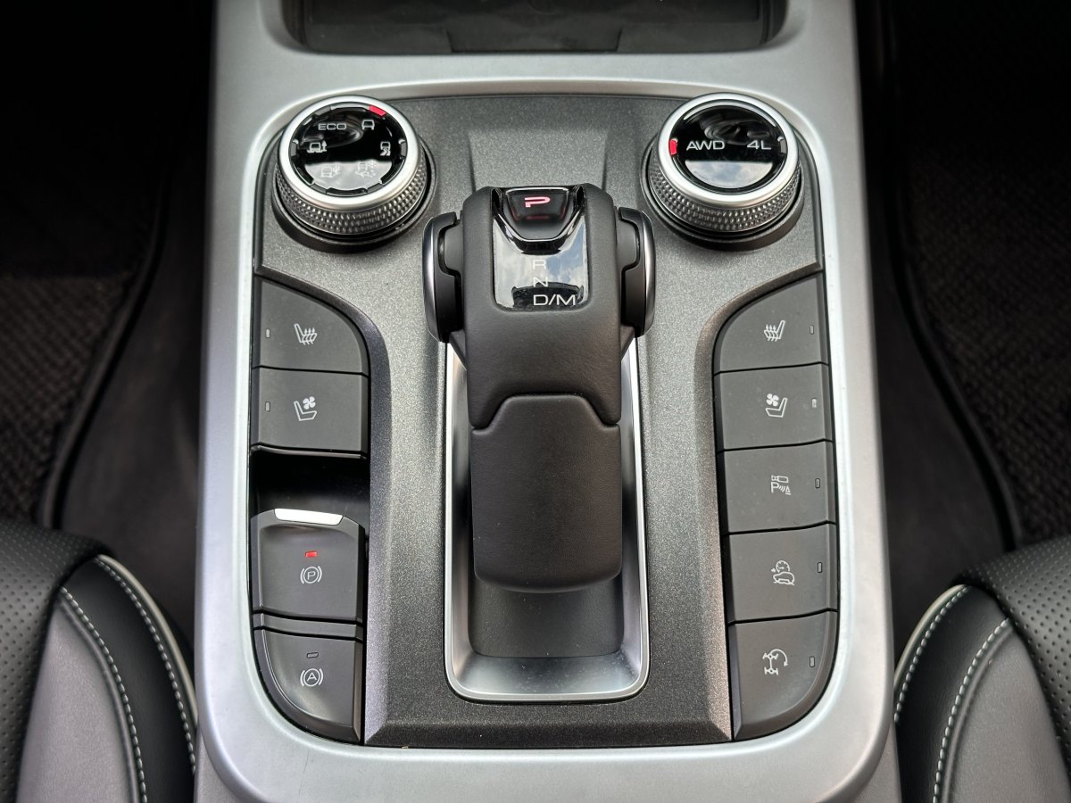 坦克 坦克300  2021款 城市版 2.0T 很有型圖片