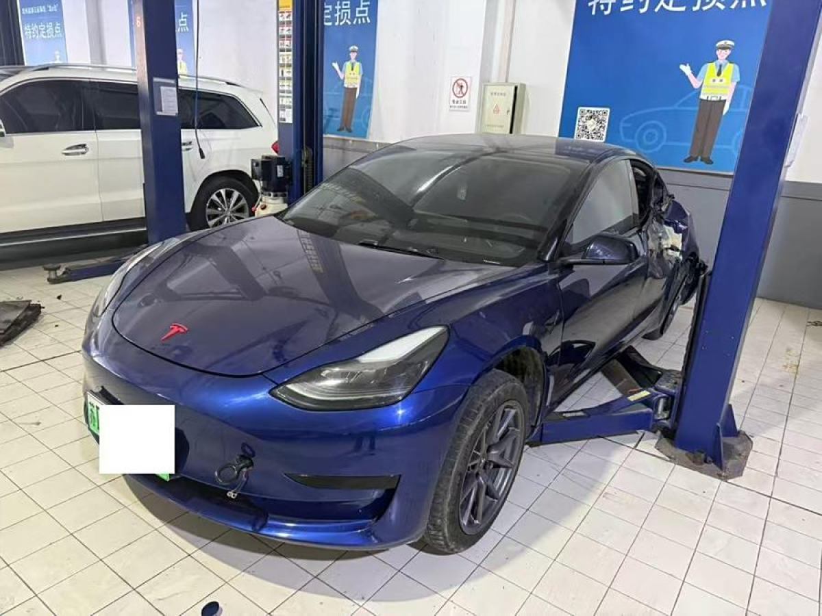 特斯拉 Model 3  2021款 改款 標(biāo)準(zhǔn)續(xù)航后驅(qū)升級(jí)版圖片