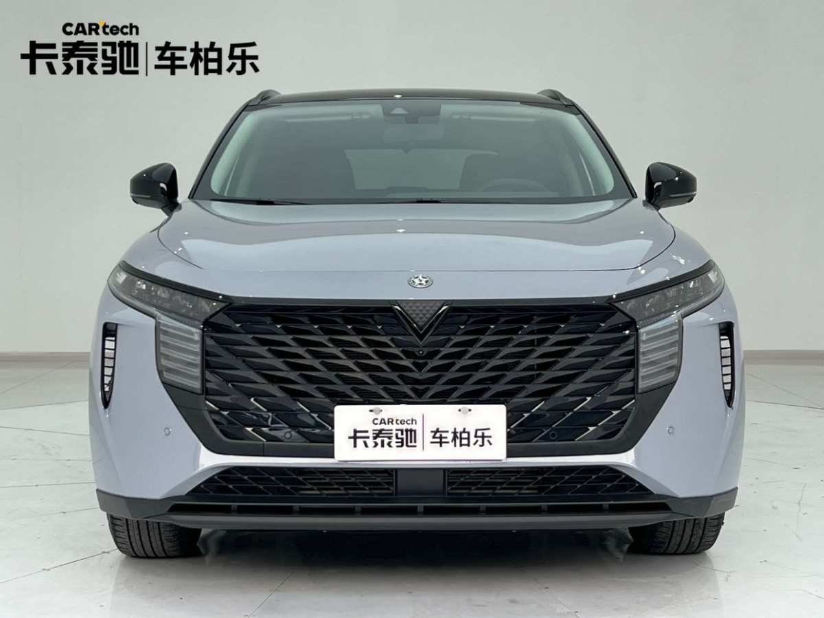 启辰 启辰大V  2021款 260T 天王版图片