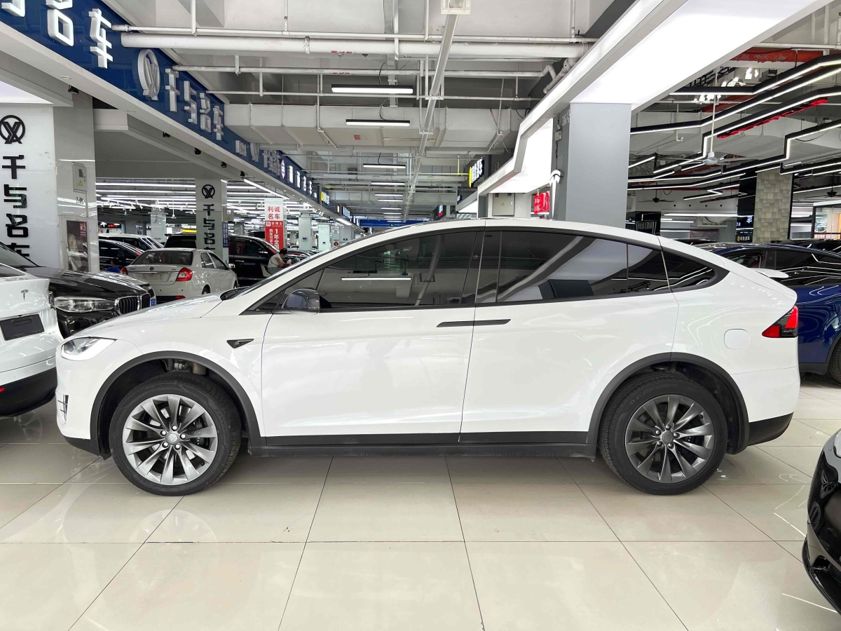 特斯拉 Model X  2019款 長(zhǎng)續(xù)航版圖片