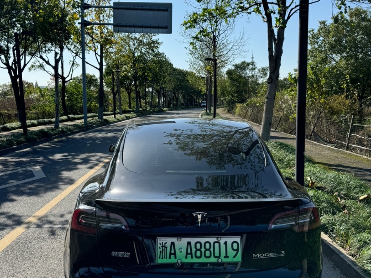 特斯拉 Model Y  2021款 Performance高性能全輪驅(qū)動(dòng)版圖片