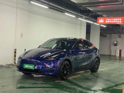 2021年3月 特斯拉 Model 3 長續(xù)航煥新版 雙電機全輪驅動圖片