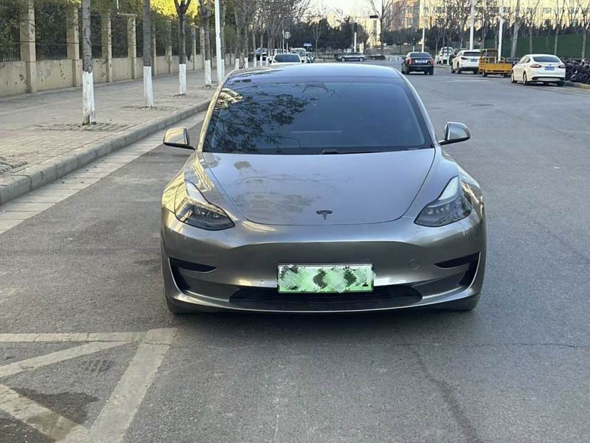 特斯拉 Model 3  2021款 改款 標(biāo)準(zhǔn)續(xù)航后驅(qū)升級(jí)版圖片