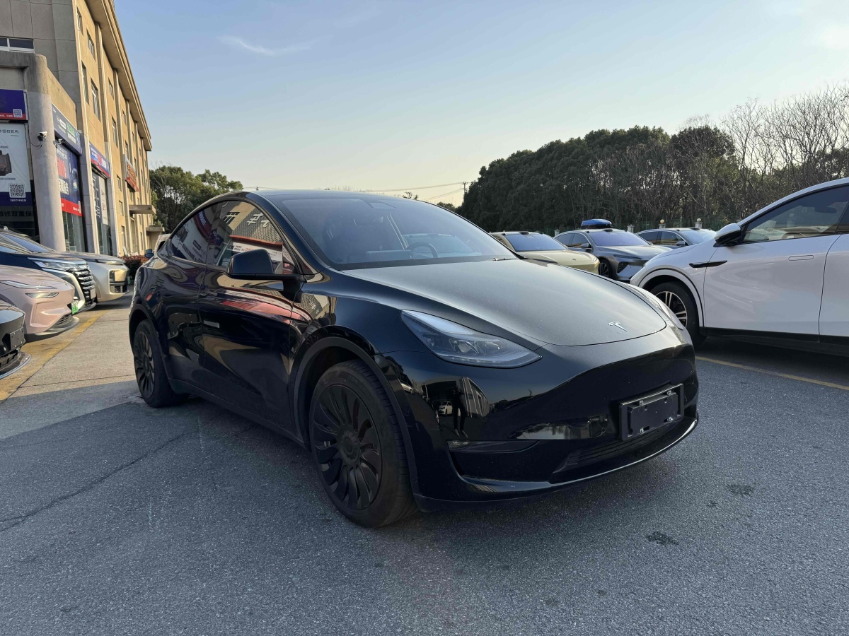 特斯拉 Model Y  2021款 長續(xù)航全輪驅(qū)動版 3D7圖片