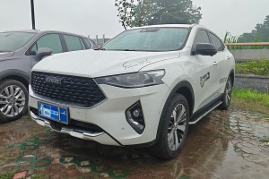 哈弗F7x 哈弗  1.5T 兩驅(qū)極智潮玩版