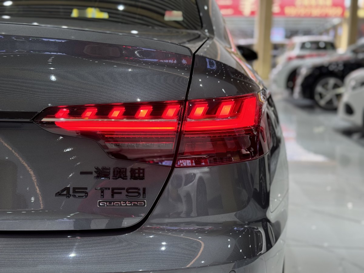 奧迪 奧迪A4L  2023款 45 TFSI quattro 臻選動感型圖片