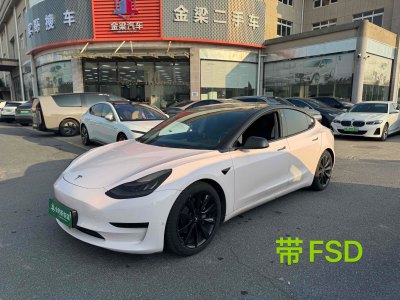 2020年7月 特斯拉 Model 3 改款 長續(xù)航后輪驅動版圖片