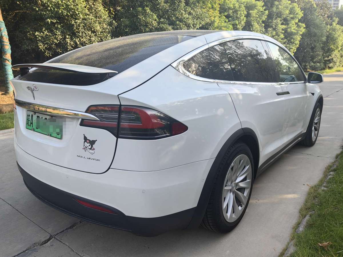 特斯拉 Model X  2021款 長(zhǎng)續(xù)航升級(jí)版圖片