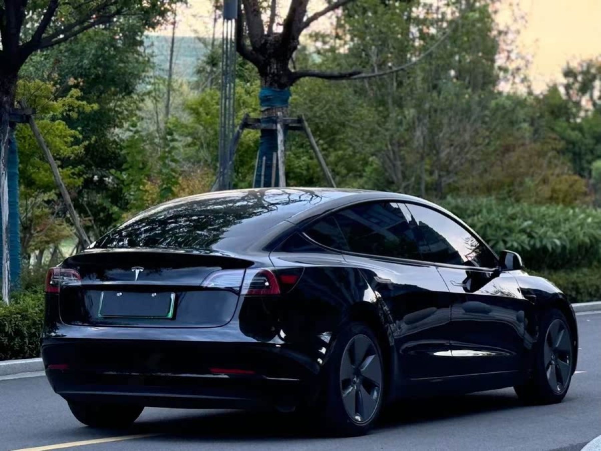 特斯拉 Model 3  2021款 改款 標準續(xù)航后驅(qū)升級版圖片