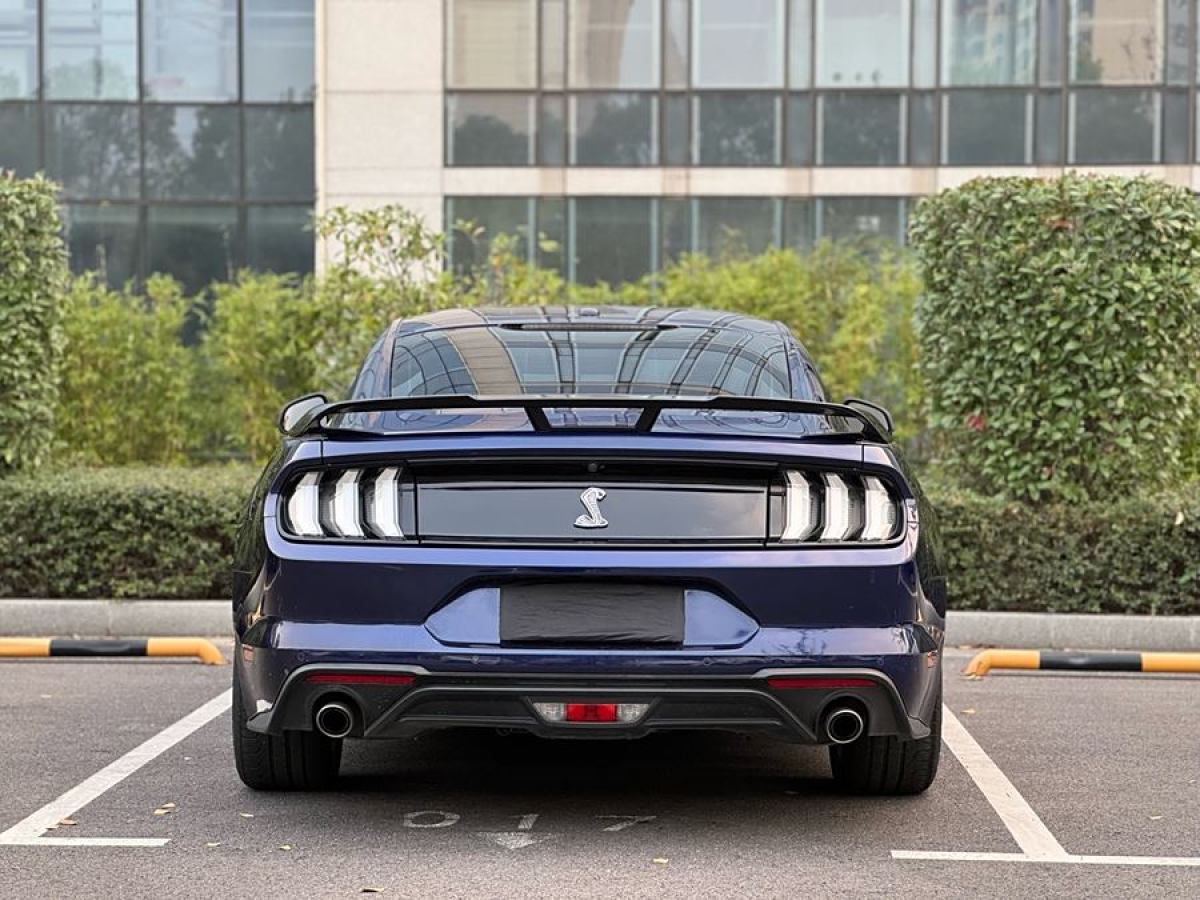 福特 Mustang  2020款 2.3L EcoBoost圖片