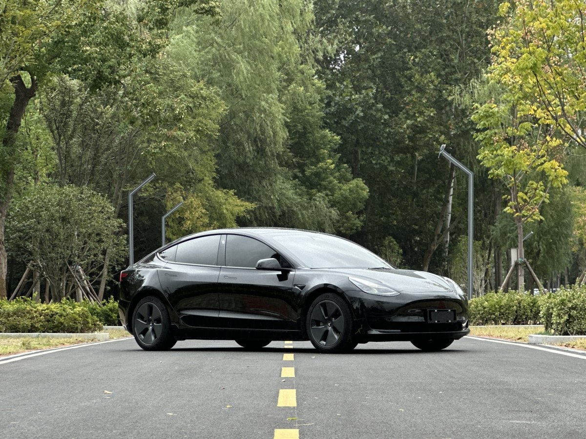 特斯拉 Model 3  2019款 標(biāo)準(zhǔn)續(xù)航后驅(qū)升級(jí)版圖片