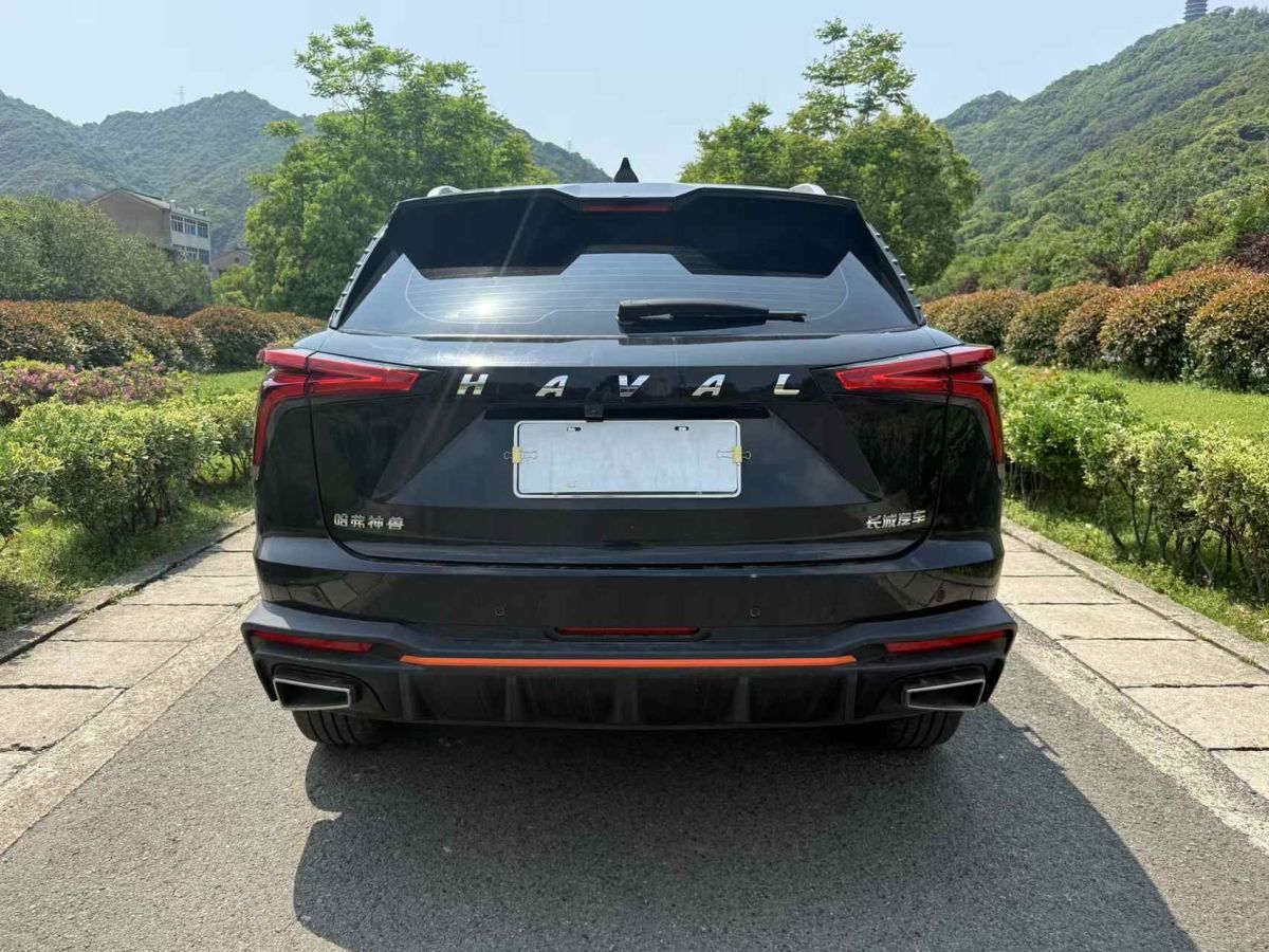 哈弗 哈弗猛龍  2024款 Hi4 102 Air圖片