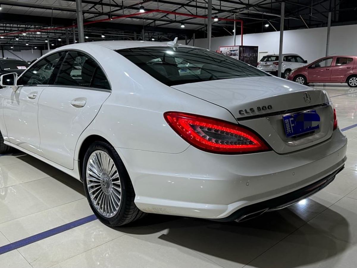 奔驰 奔驰CLS级  2012款 CLS 300 CGI图片