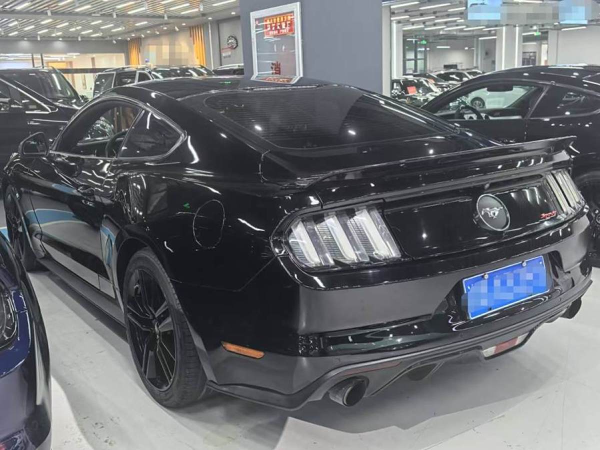 福特 Mustang  2015款 2.3T 性能版圖片