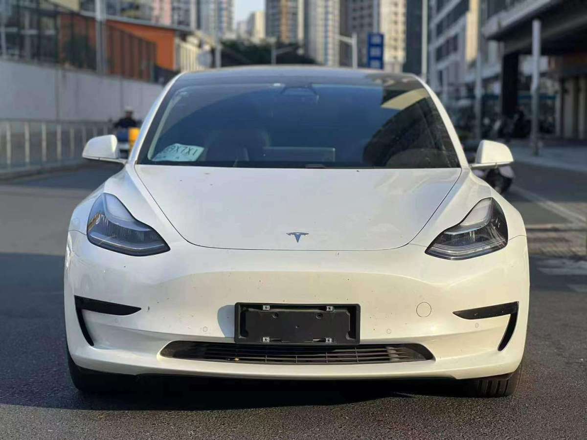 特斯拉 Model 3  2019款 標(biāo)準(zhǔn)續(xù)航后驅(qū)升級(jí)版圖片