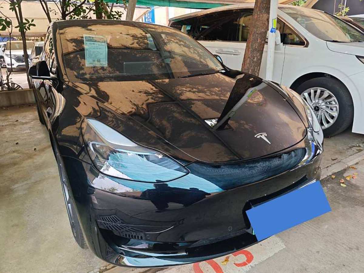 特斯拉 Model 3  2022款 改款 后輪驅(qū)動(dòng)版圖片