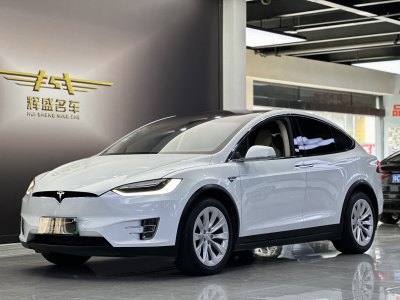 2017年2月 特斯拉 Model X Model X 90D图片