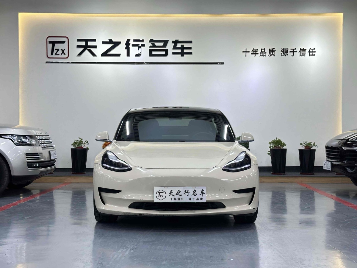 特斯拉 Model 3  2019款 標(biāo)準(zhǔn)續(xù)航后驅(qū)升級(jí)版圖片