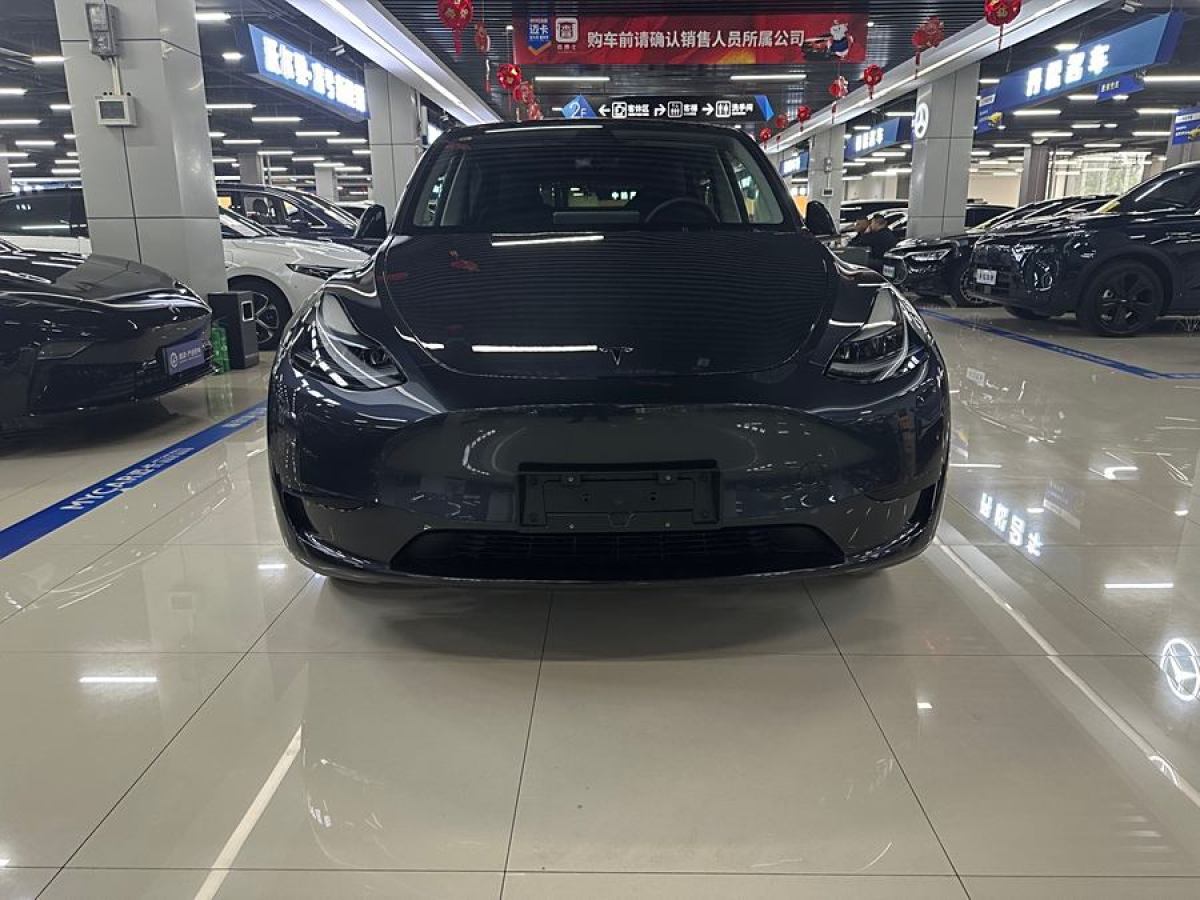 特斯拉 Model 3  2020款 改款 長續(xù)航后輪驅動版圖片