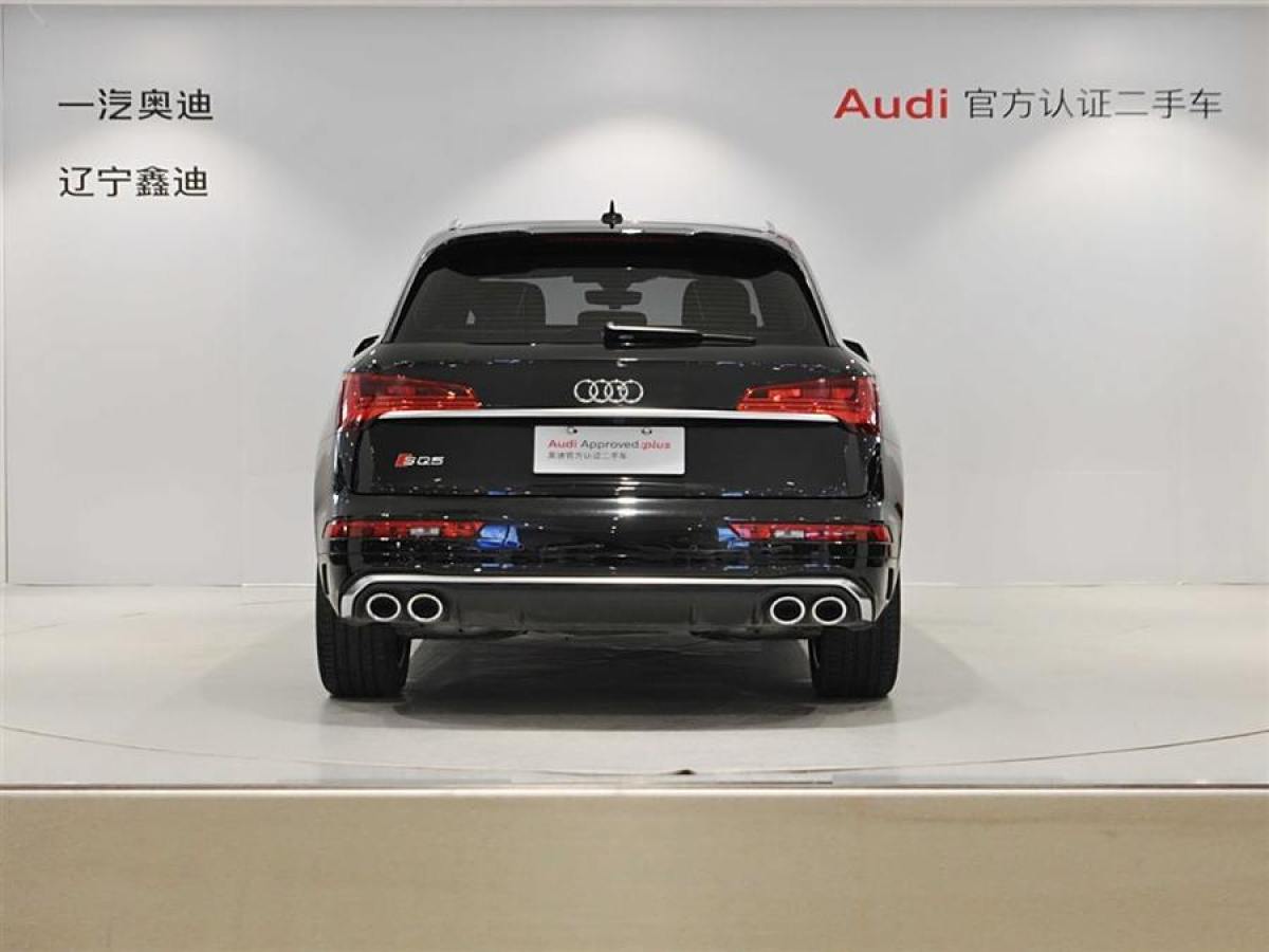 奧迪 奧迪SQ5  2014款 SQ5 3.0 TFSI quattro圖片