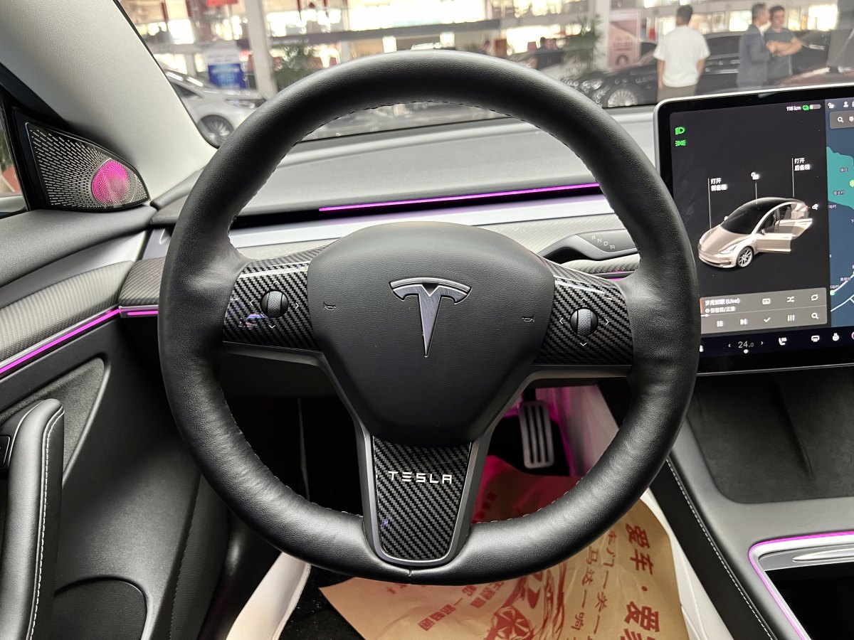 特斯拉 Model 3  2019款 標準續(xù)航后驅升級版圖片