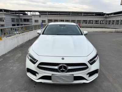 2020年10月 奔馳 奔馳CLS級(進(jìn)口) CLS 300 動感型圖片