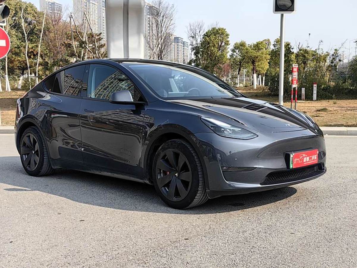 特斯拉 Model 3  2022款 后輪驅(qū)動版圖片