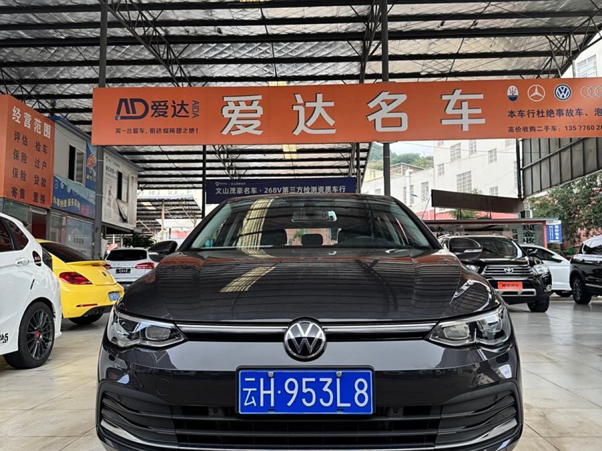 大眾 高爾夫  2021款 280TSI DSG Pro圖片