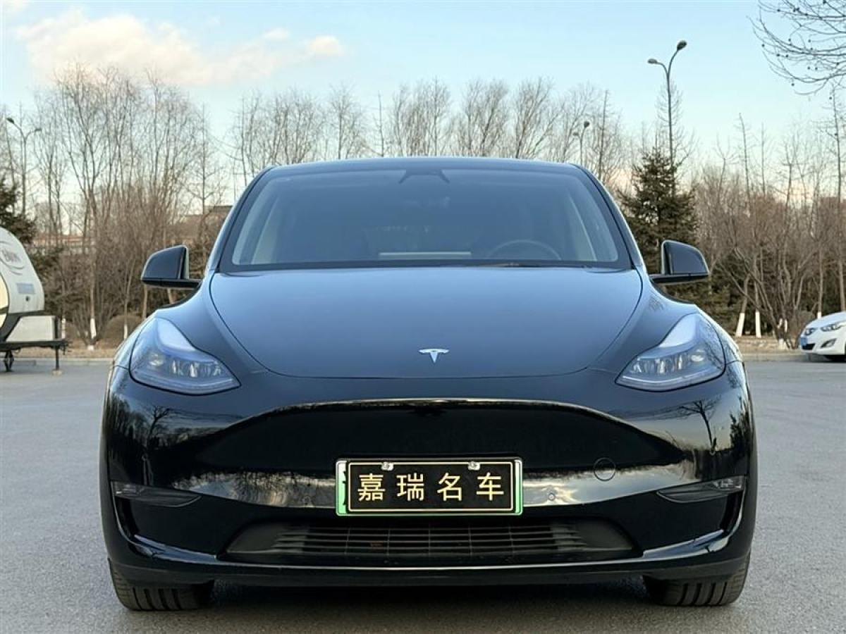 特斯拉 Model 3  2021款 改款 Performance高性能全輪驅(qū)動版圖片