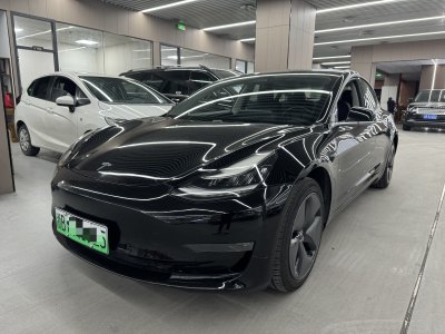 2019年6月 特斯拉 Model 3 长续航全轮驱动版图片