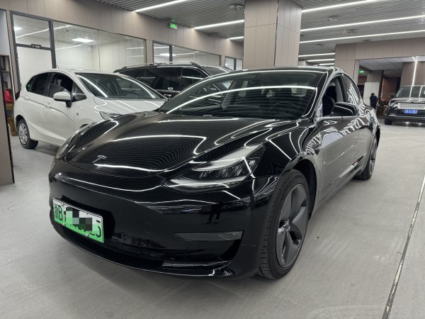 特斯拉 Model 3  2019款 长续航全轮驱动版