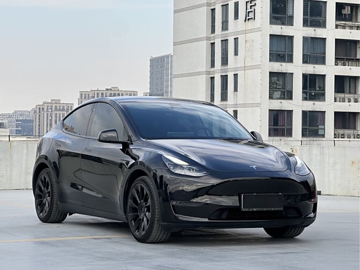 特斯拉 Model Y  2021款 改款 長續(xù)航全輪驅(qū)動版圖片