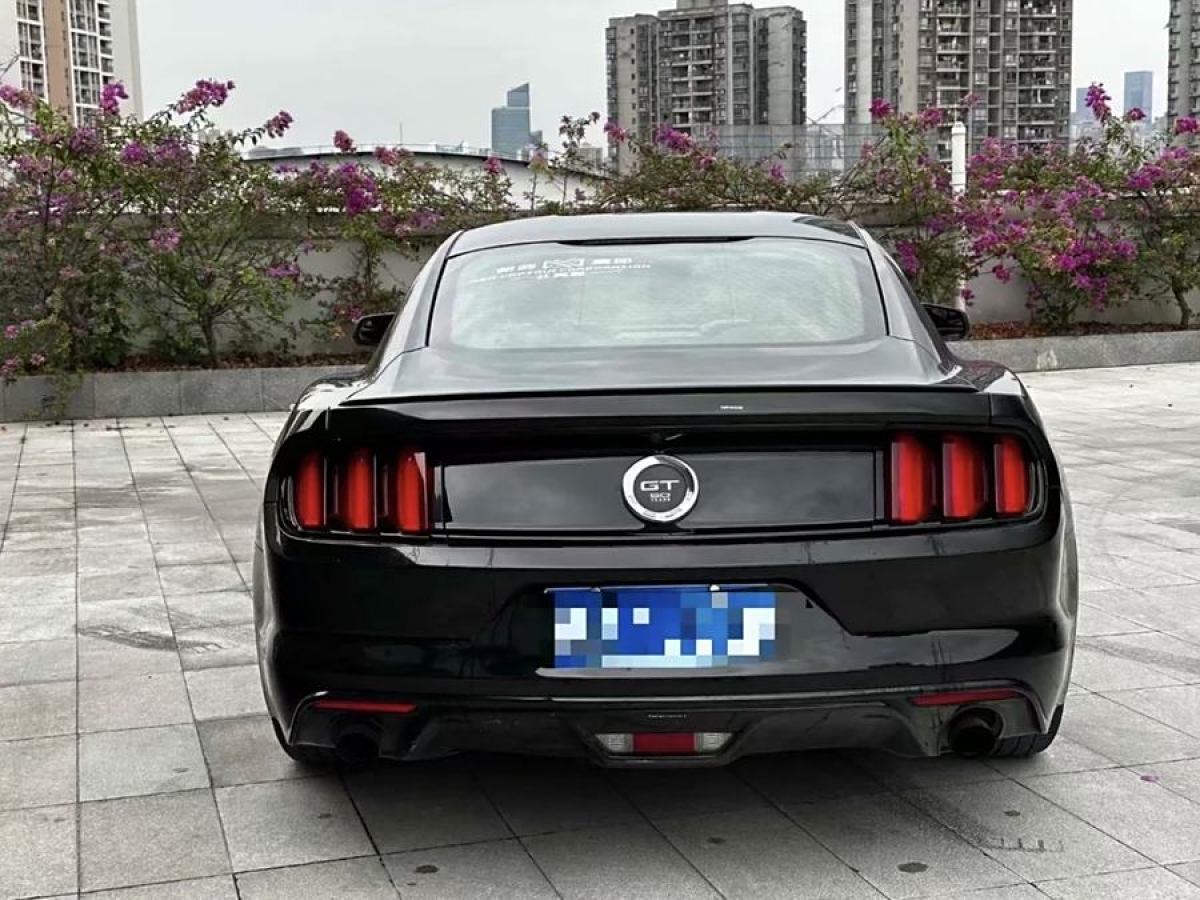 福特 Mustang  2015款 2.3T 性能版圖片