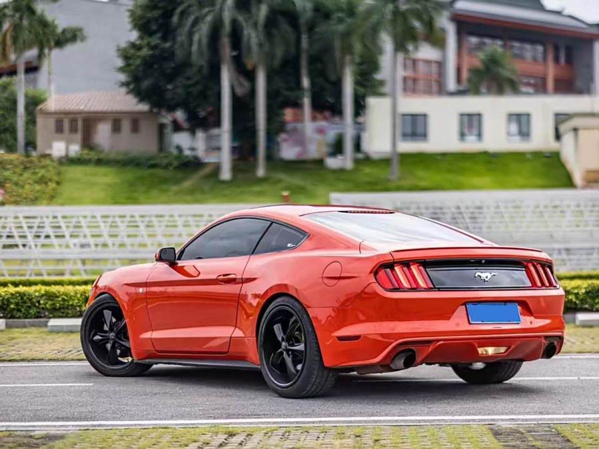 福特 Mustang  2015款 2.3T 性能版圖片