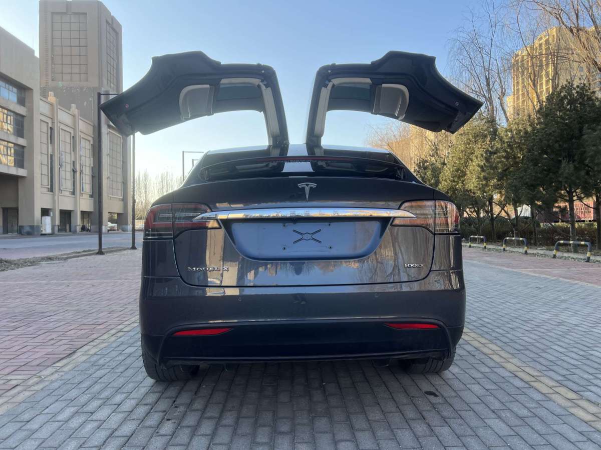 特斯拉 Model X  2019款 標(biāo)準(zhǔn)續(xù)航版圖片