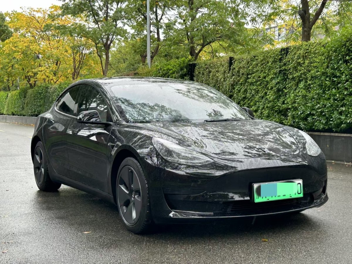 特斯拉 Model 3  2021款 標(biāo)準(zhǔn)續(xù)航后驅(qū)升級版 3D6圖片