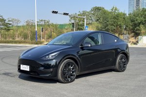 Model Y 特斯拉 改款 标准续航后驱升级版