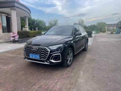 2022年1月 奥迪 奥迪Q5 e-tron 40 e-tron 星耀型 机甲套装图片