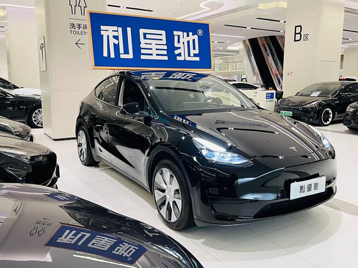 特斯拉 Model Y  2020款 改款 長(zhǎng)續(xù)航后輪驅(qū)動(dòng)版圖片