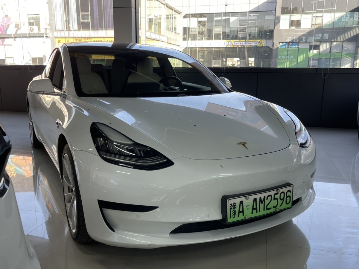 特斯拉 Model 3  2020款 標(biāo)準(zhǔn)續(xù)航后驅(qū)升級(jí)版圖片