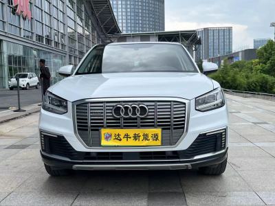 2020年9月 奥迪 Q2L e-tron e-tron 纯电智享型图片