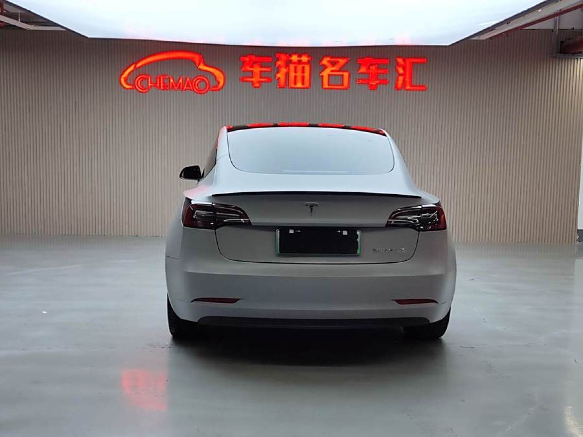 2021年4月特斯拉 Model Y  2021款 改款 Performance高性能全輪驅動版