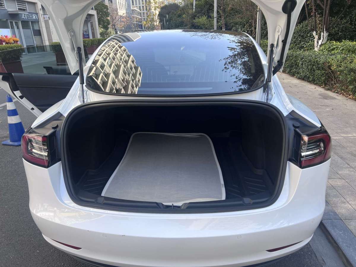 特斯拉 Model 3  2019款 標準續(xù)航后驅(qū)升級版圖片