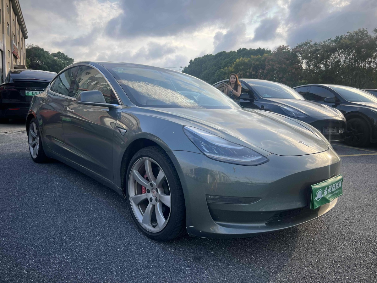 特斯拉 Model 3  2019款 Performance高性能全輪驅(qū)動(dòng)版圖片