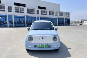 歐拉黑貓 歐拉 301km 基礎(chǔ)型