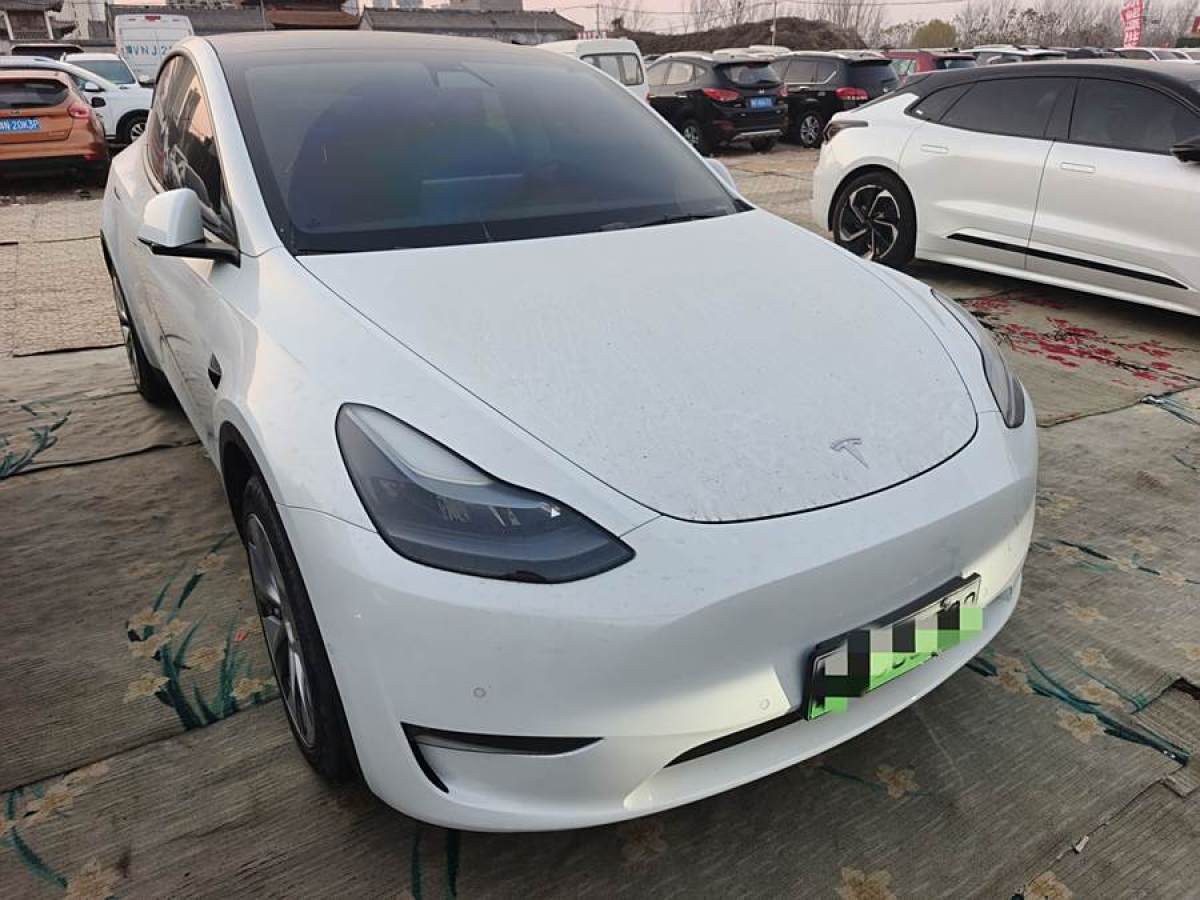 特斯拉 Model Y  2021款 改款 長(zhǎng)續(xù)航全輪驅(qū)動(dòng)版圖片